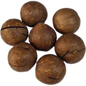 تصویر ماکادمیا 