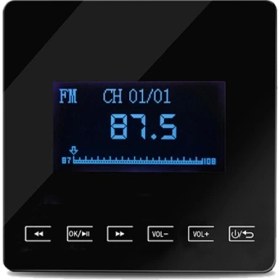 تصویر موزیک پلیر mp100 