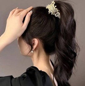 تصویر سامورایی 