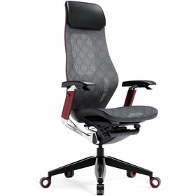 تصویر صندلی ارگونومیک GX Super Ergonomic GX Super Ergonomic Chair