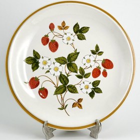 تصویر پلیت شفیلد 