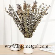 تصویر برگ دکوری اکالیپتوس خشک 