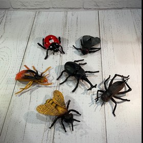 تصویر حشرات کیسه ای ۶ تکه 