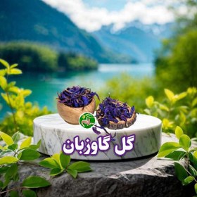 تصویر گل گاوزبان 