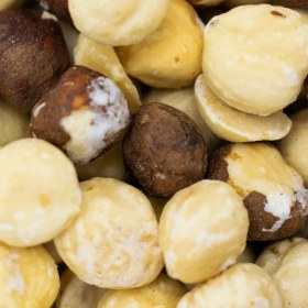 تصویر مغز فندق شور ایرانی 200 گرمی 