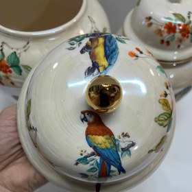 تصویر جینجرجار طوطی صدفی 