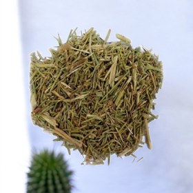 تصویر گیاه خارشتر 