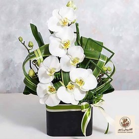 تصویر جعبه گل ارکیده | کد: ZNB-FJ5 