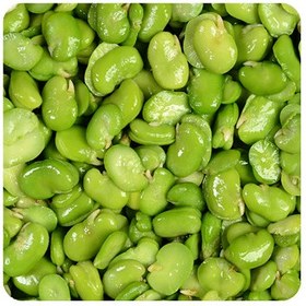 تصویر باقلا سبز 