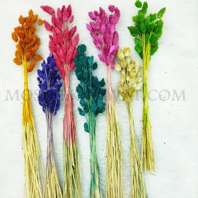 تصویر گل خشک مدل توت فرنگی 