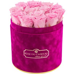 تصویر Pale Pink Eternal Roses in Fuchsia Flocked Flowerbox | کد: ZNB-1IWP 