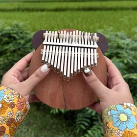 تصویر کالیمبا خرسی 3D 