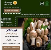 تصویر دوره آنلاین پرورش قارچ مقدماتی 