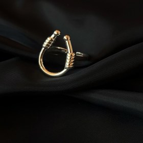تصویر انگشتر نعل اسب 