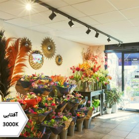 تصویر چراغ LED روکار متحرک 20W 