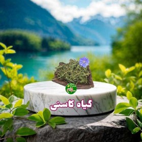 تصویر گیاه کاسنی 
