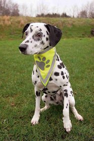 Trixie bandana sale