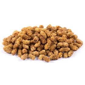 تصویر توت خشک اعلی 