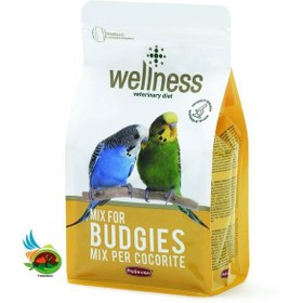 تصویر غذای سوپر پریمیوم مرغ عشق ولنس پادوان Padovan wellness budgies وزن ۱ کیلوگرم 