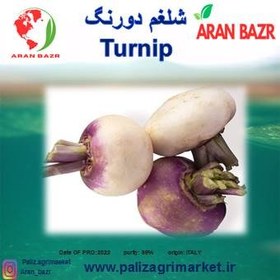 تصویر شلغم دو رنگ ( Turnip ) 