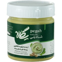 تصویر ارده پسته ای با مغز پسته شابلی (پگاه) 