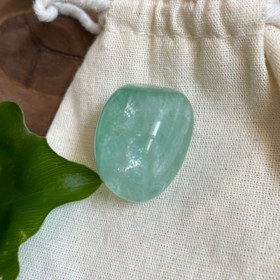 تصویر فلوریت ۰۶ 