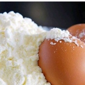 تصویر پودر سفیده تخم مرغ (300 گرمی) آنلاین استور 