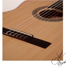 تصویر گیتار کلاسیک دوریس مدل DS 