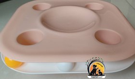 تصویر اسباب بازی هوشی برای گربه مدل توپ بازی 