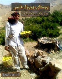 تصویر تحقیق معرفی جاذبه های گردشگری وایین های سنتی روستای چیروک طبس 