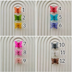 تصویر مینی کلیپس پروانه 