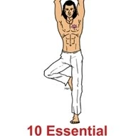 Yoga Anatomy: Teaching Yoga Essential Foundations and Techniques