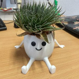 تصویر گلدان فانتزی Happy Pot 