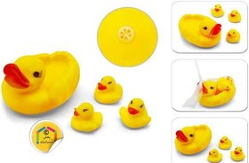 تصویر اردک حمام خارجی 