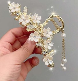 تصویر کلیپس مجلسی فلزی رنگ ثابت 