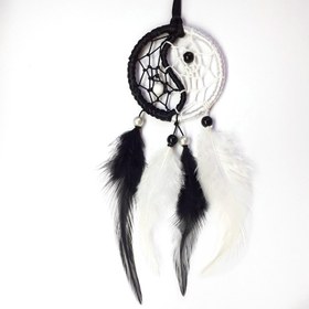 تصویر دریمکچر گردنی 