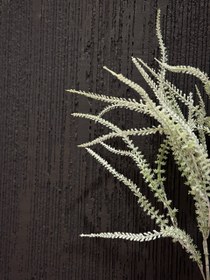 تصویر گیاه تزئینی یا خرج کار 