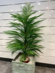 تصویر درختچه مصنوعی نخل اریکا 