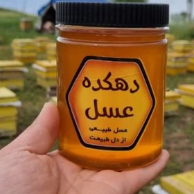 تصویر عسل درمانی گزانگبین (یک کیلویی) 