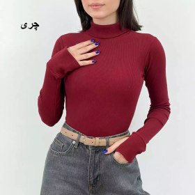 تصویر بادی یقه اسکی 1008186 