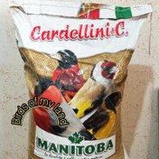 تصویر دان مخصوص سهره و سهره قناری مانیتوبا ایتالیا 500گرم 