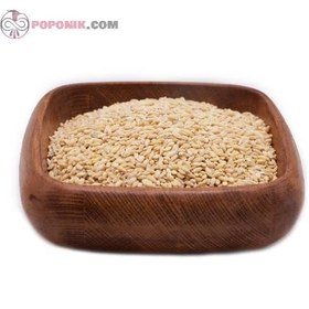 تصویر جو ( پوست کنده) 