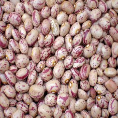 تصویر لوبیا چیتی ممتاز مسما - 400 گرم سلفونی Mosama First Class Pinto Beans - 400 grams