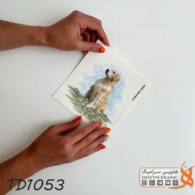 تصویر TD1053 ترانسفر سگ 