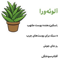 تصویر روغن آلوئه‌ورا 