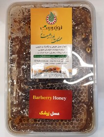 تصویر عسل موم دار زرشک 800 گرمی نوفرست 