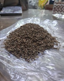 تصویر زیره سبز 