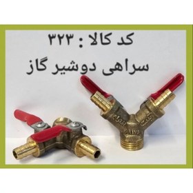 تصویر سراهی دو شیر گاز salam