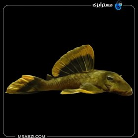 تصویر پلکو مانگور L47 