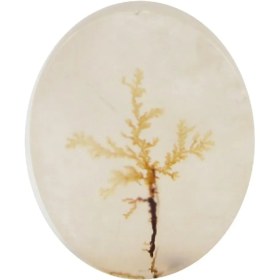 تصویر سنگ شجر کد 3032 